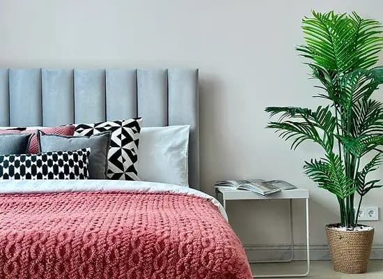 Privé Stella — фото 4