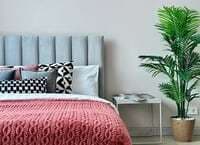 Privé Stella — фото 5